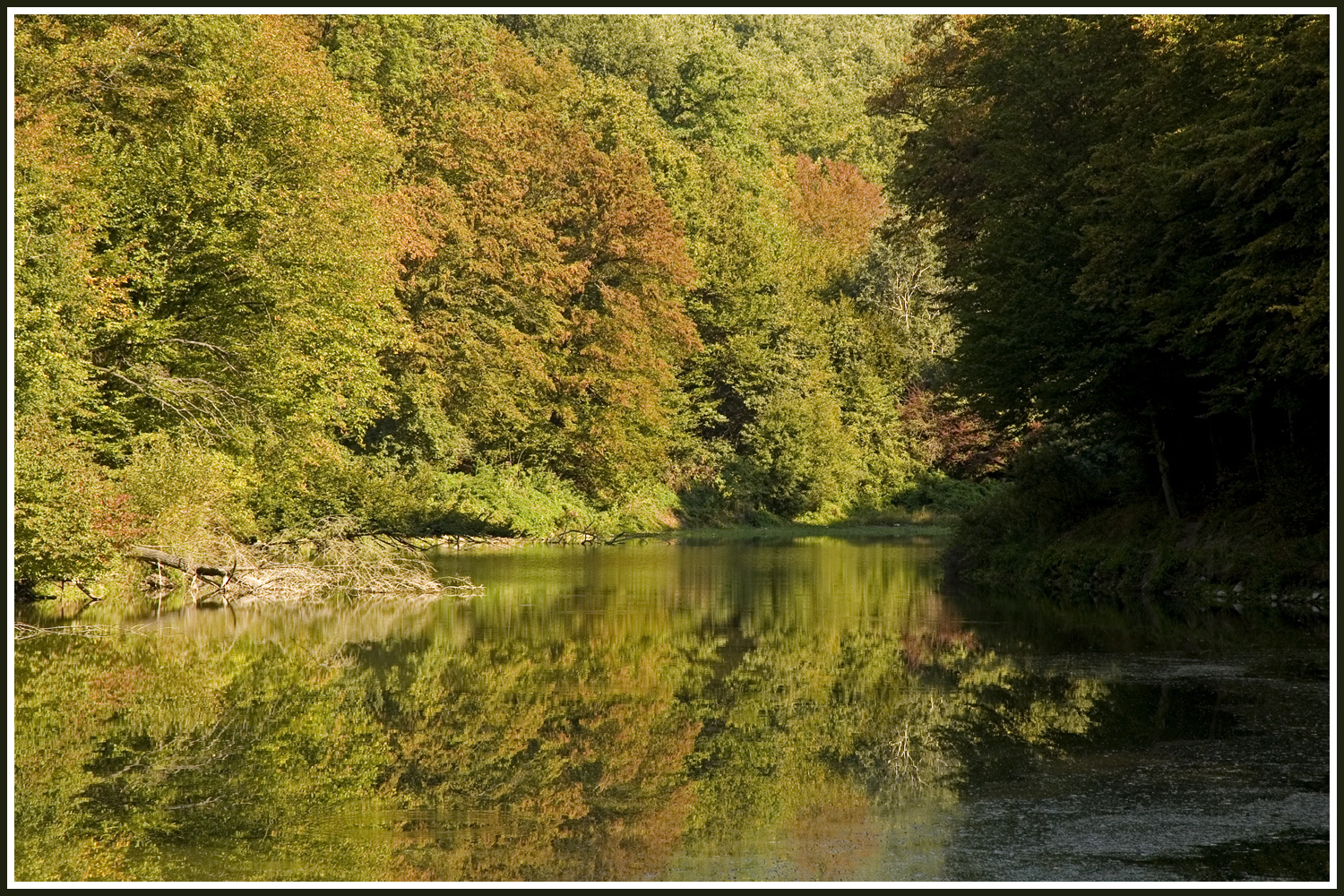 Hét-vályú halastó