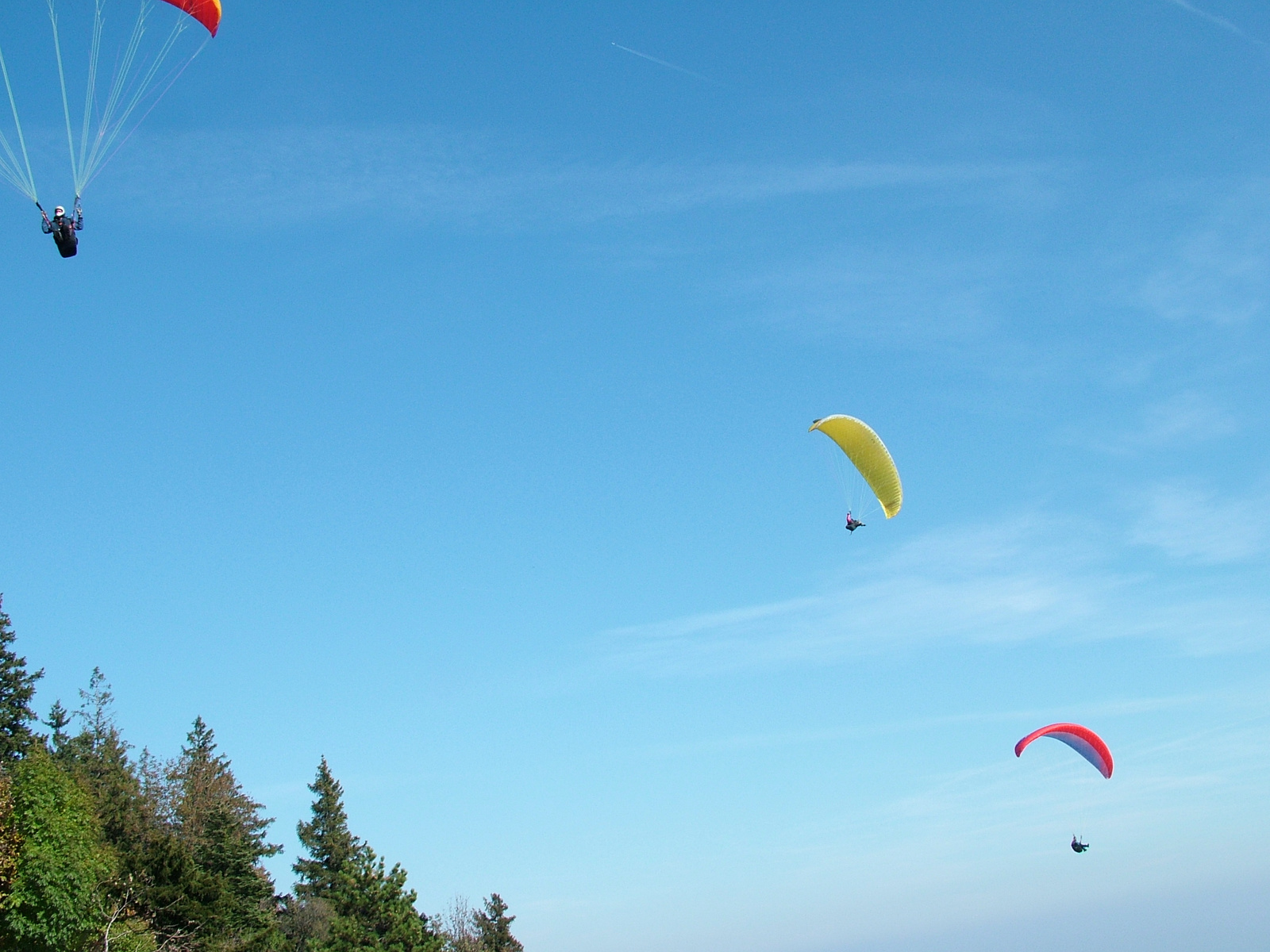 Hohe Wand Ausztria (118)