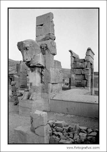 Túlélő (Persepolis, 2004)