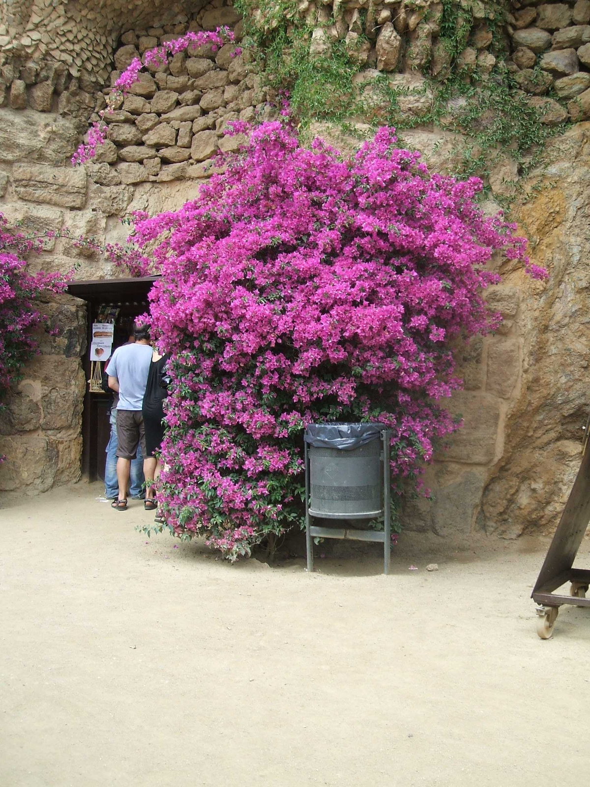 Güell park 5