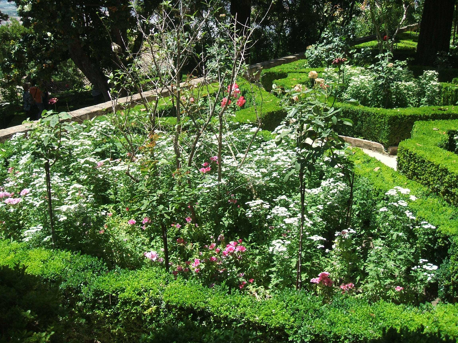 Granada Generalife