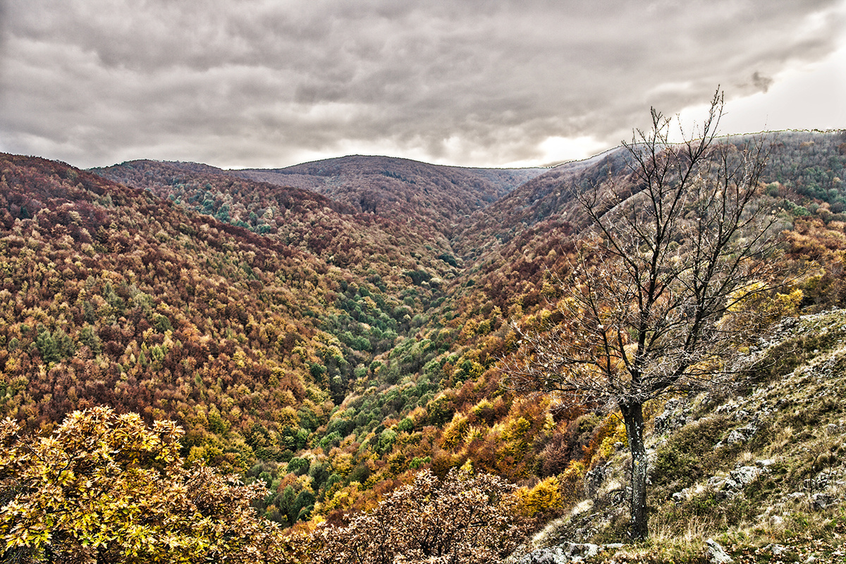 MG 2375-HDR