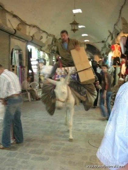 91671-scary-donkey-running-through-the-souk-aleppo-syria (Medium