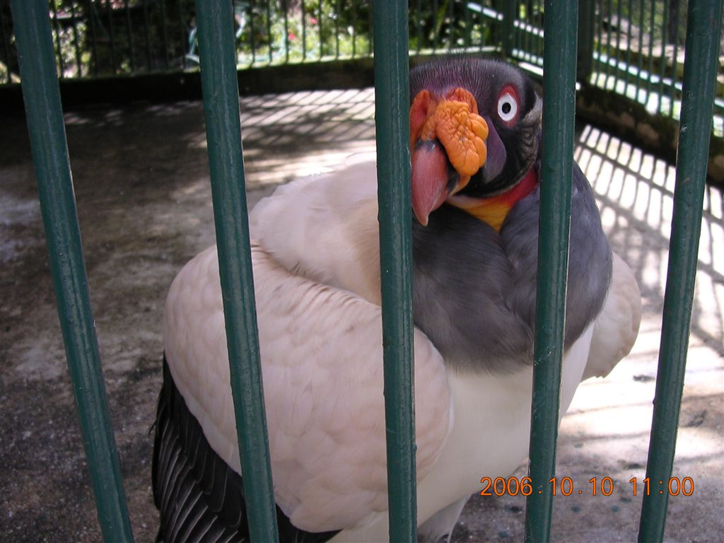 100 Mérida - Parque Zoológico Chorros de Milla