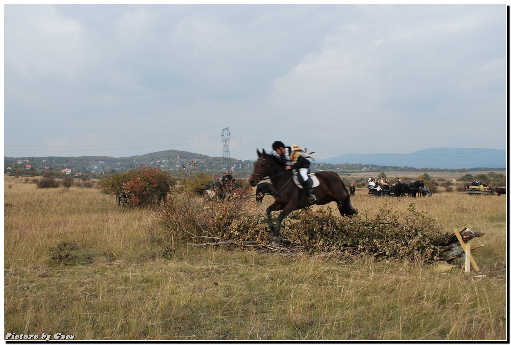 vadaszlovigaca201000156