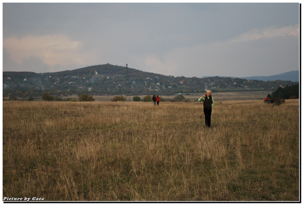 vadaszlovigaca201000196