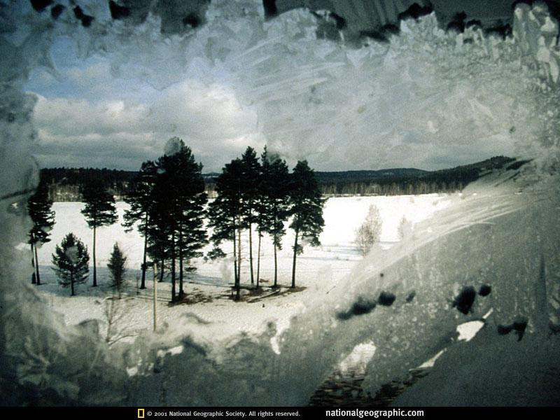 lake-baikal-forest-516697-sw (Medium)