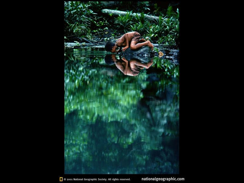 tidore-freshwater-pool-221652-sw (Medium)