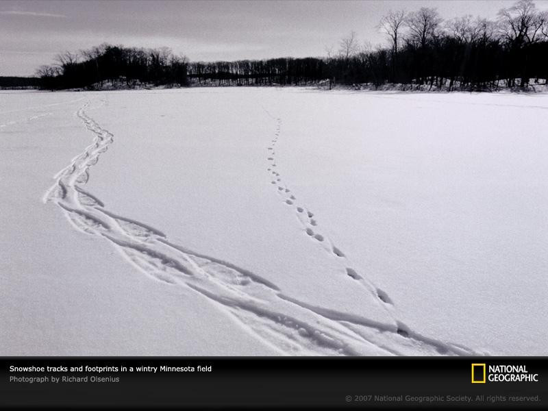 tracks-snowfield-minnesota-669998-sw (Medium)