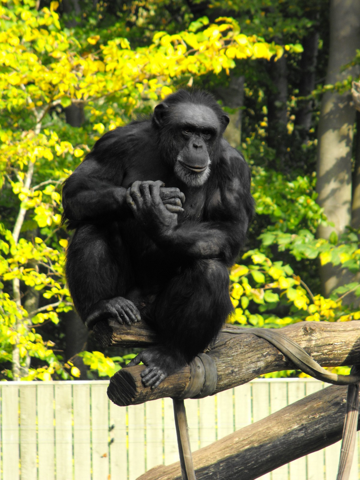 Aalborg állatkert Ålborg Zoo