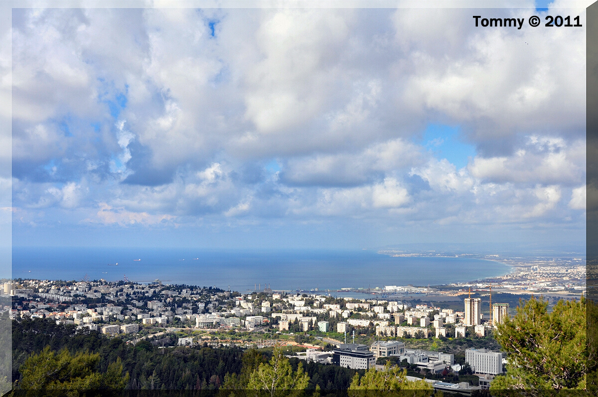 Haifa