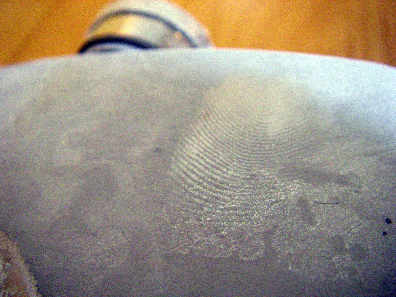 Fingerprint