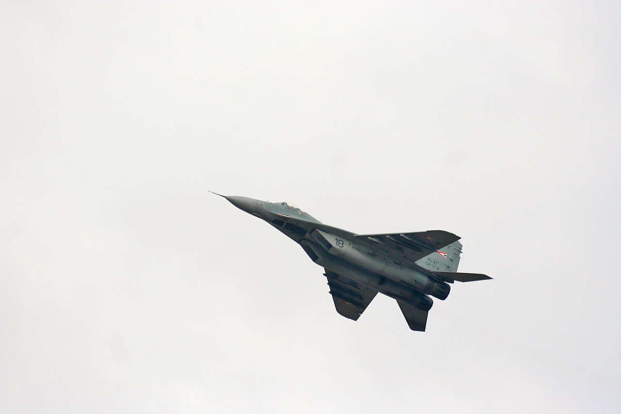 MiG-295