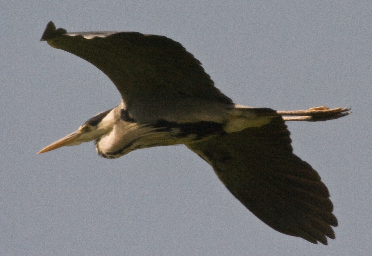 szurkegem2000mm4