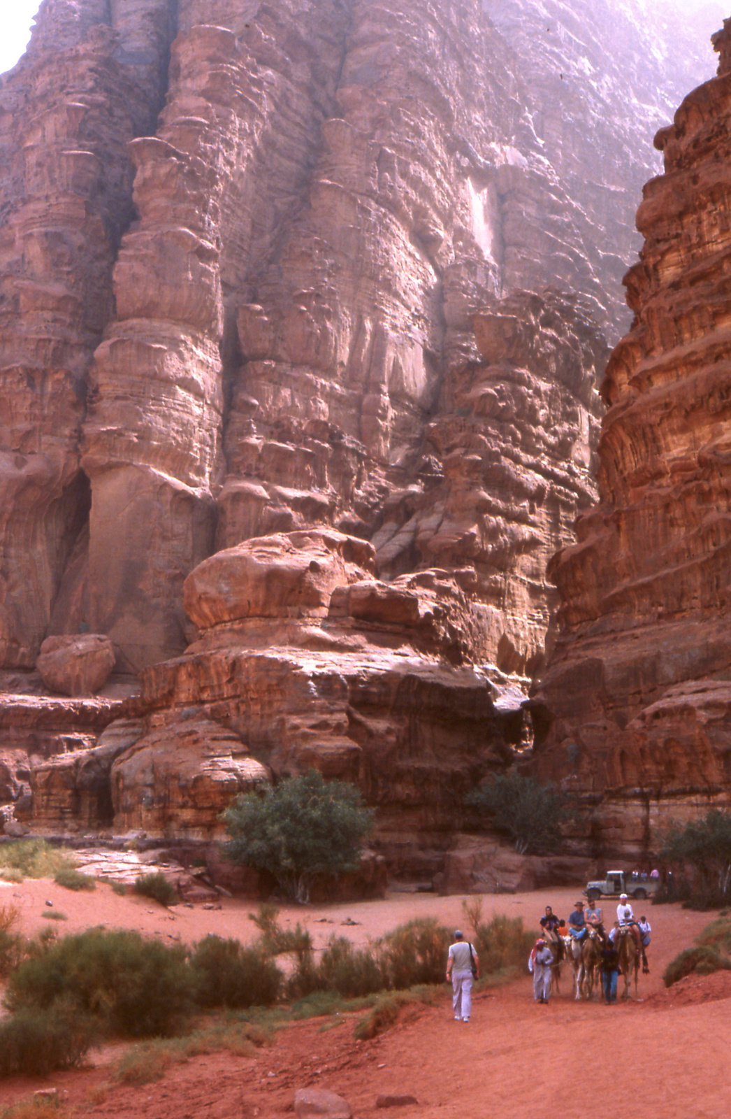 224Wadi Rum