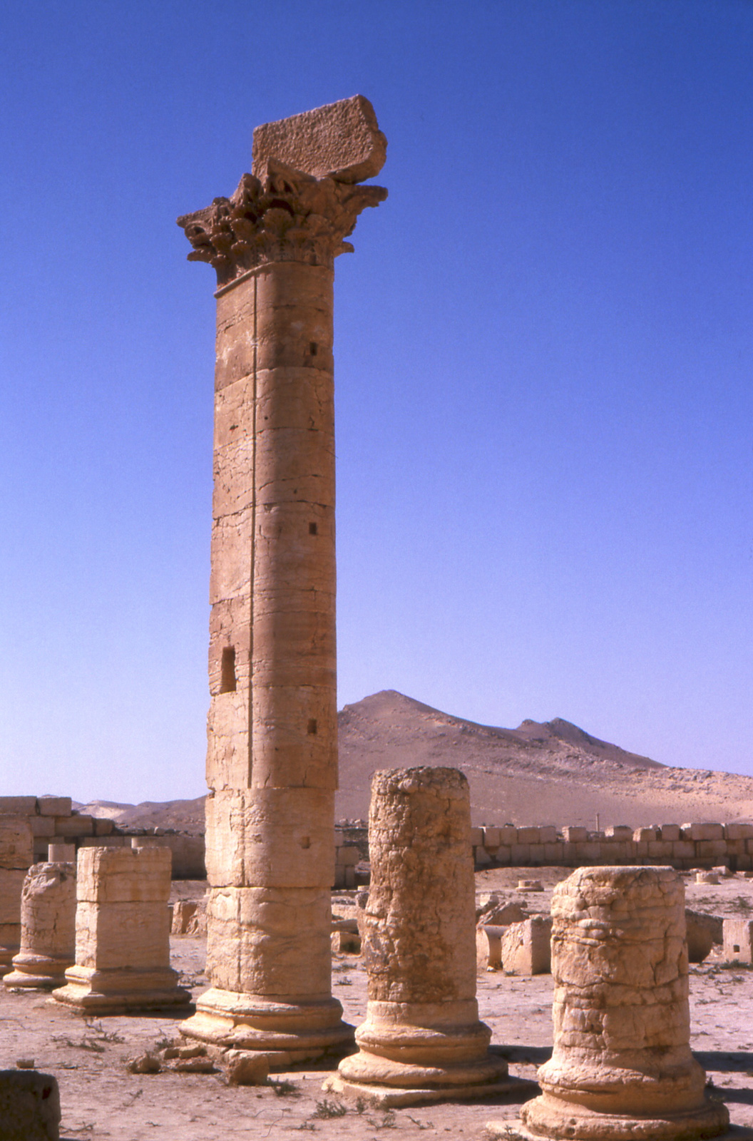 089 Palmyra