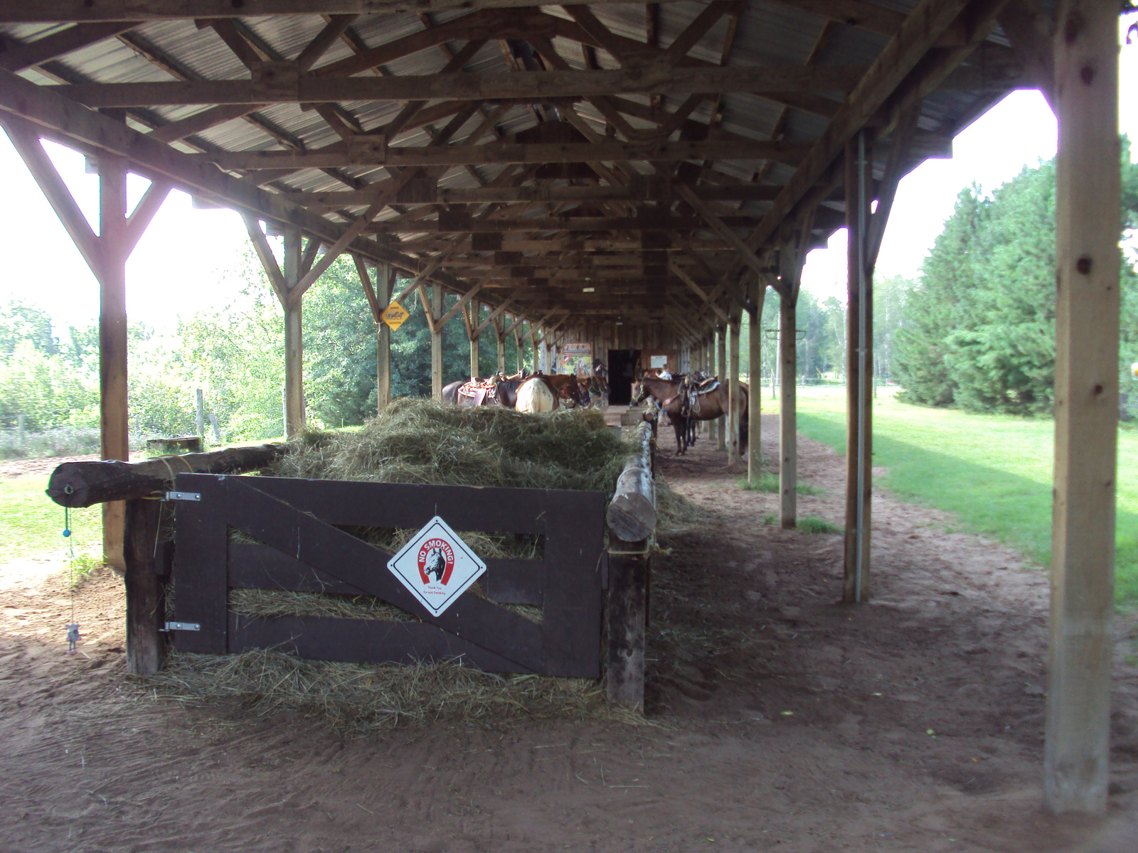 horseback riding