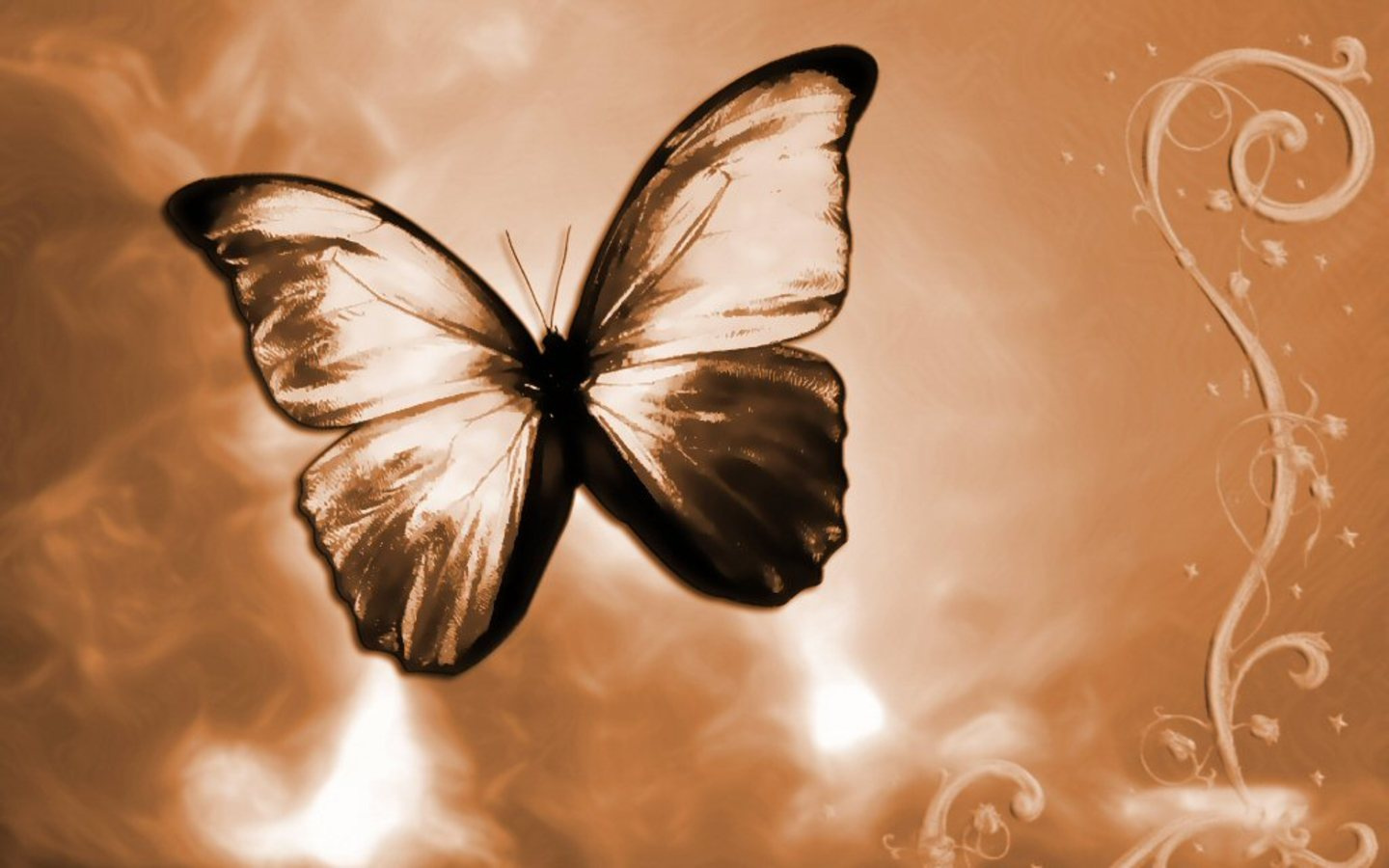 Butterfly Wallpaper