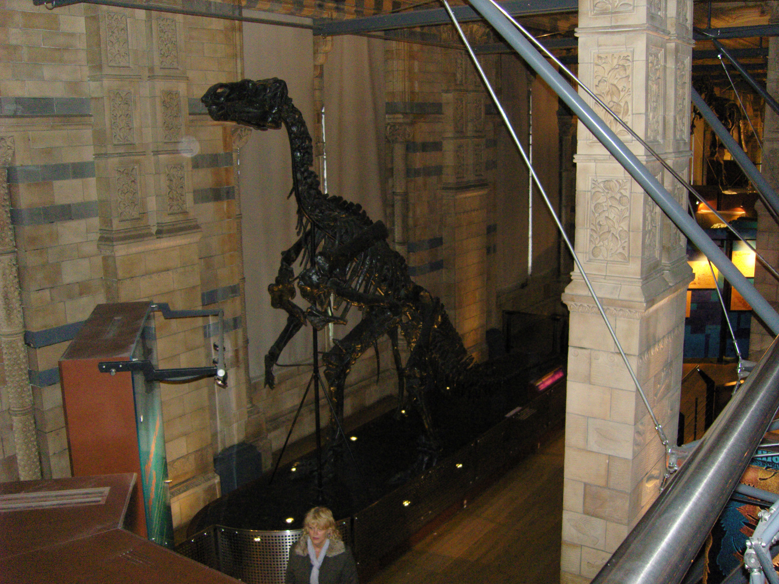 Natural History Museum