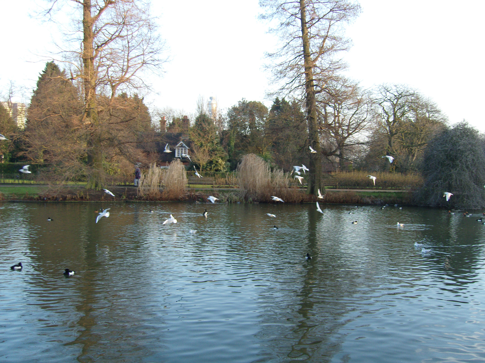 Regent's Park