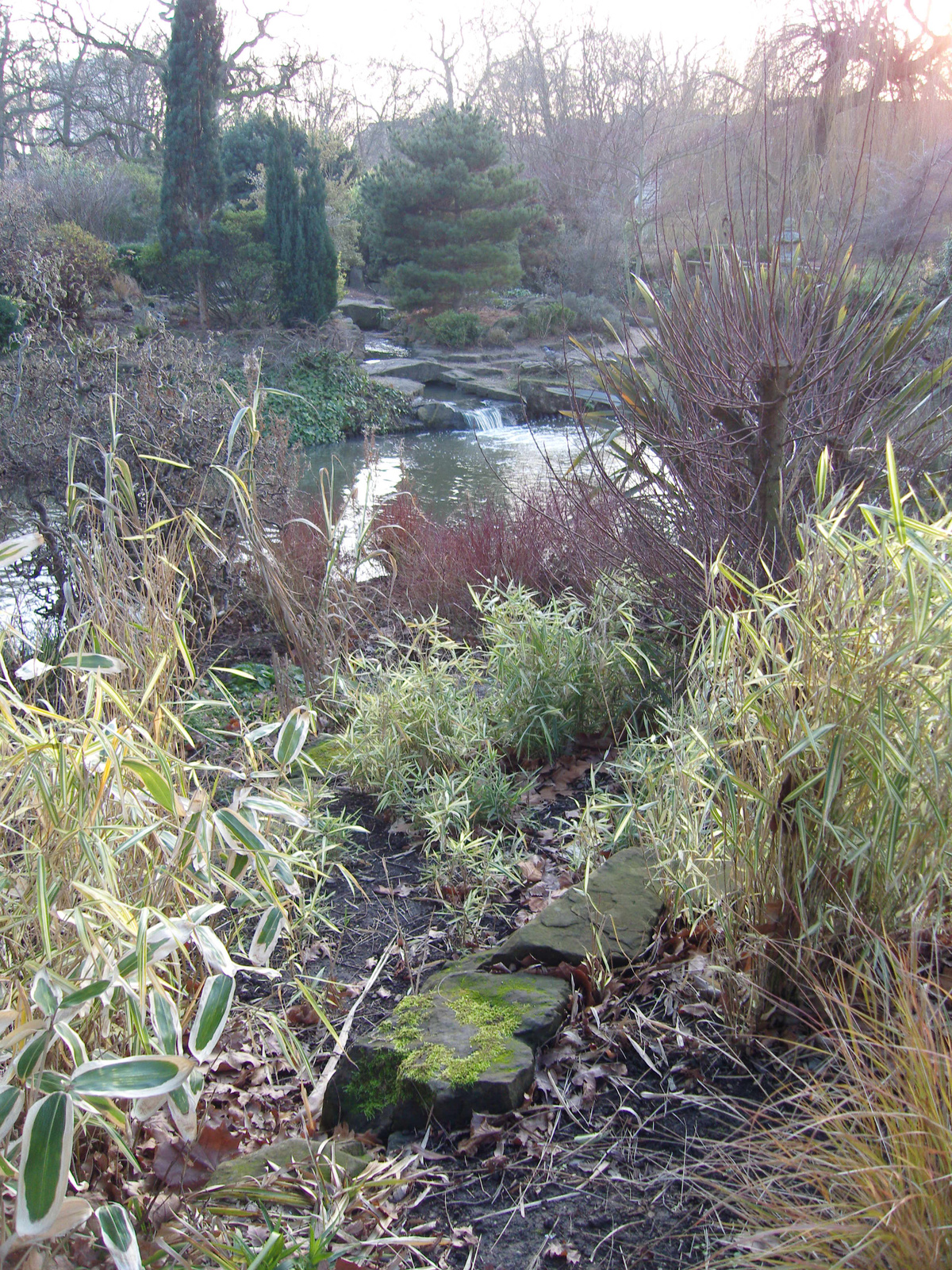 Regent's Park