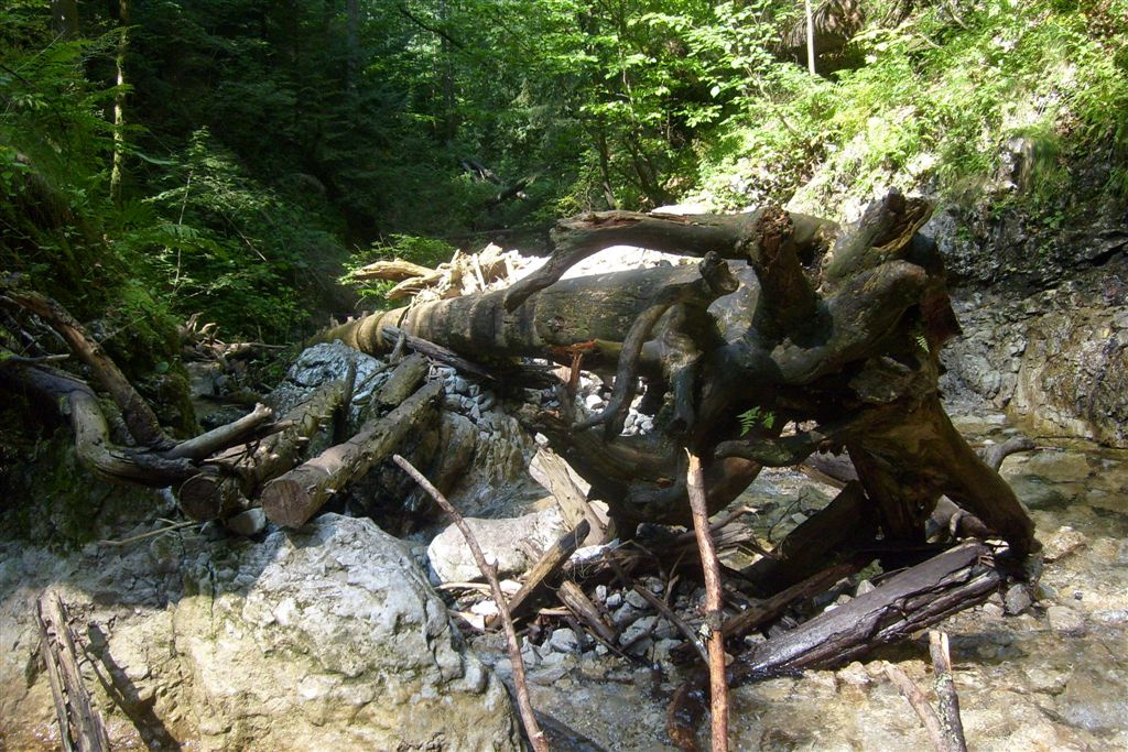 Szlovákia 2010 153