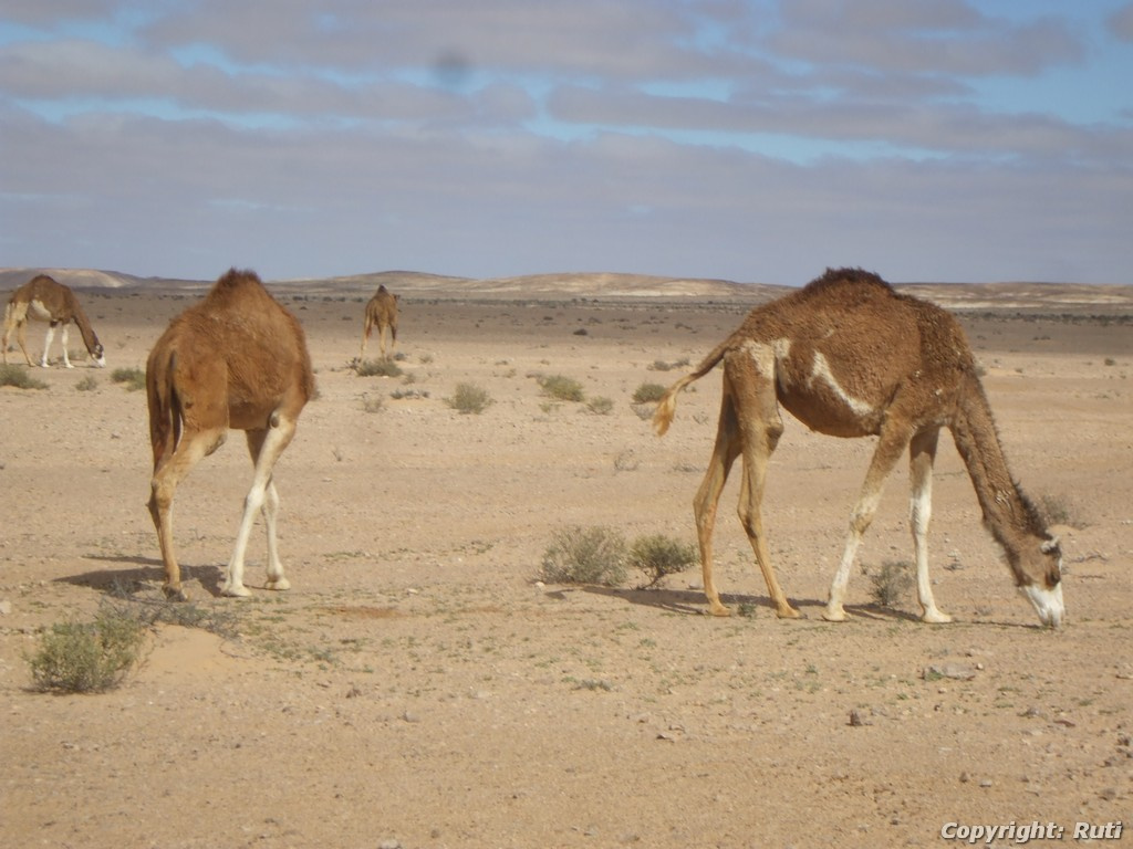 Bamako 144