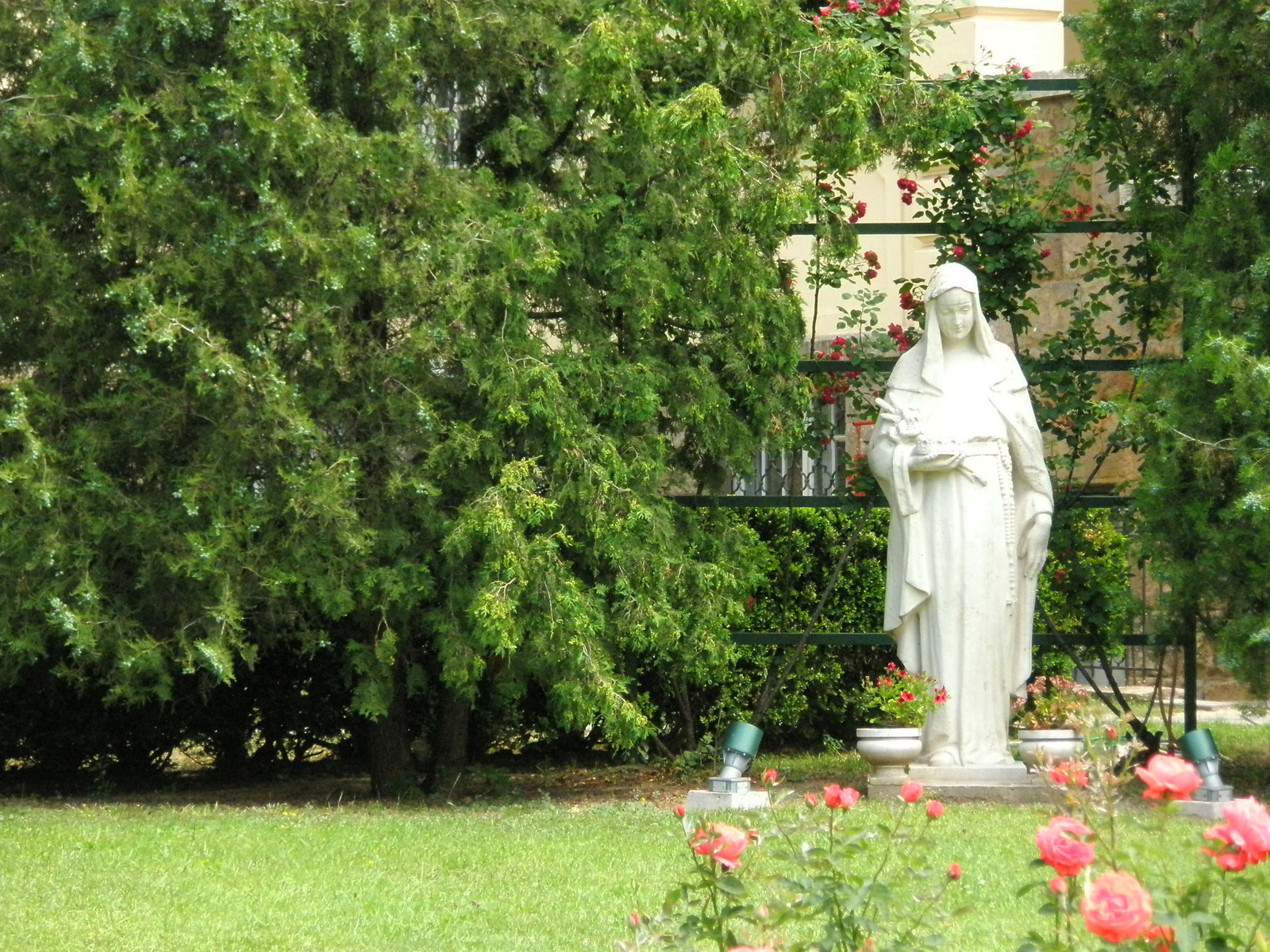 Szent Margit kertje