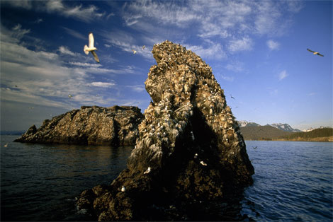 gull-island-alaska-91799-ga