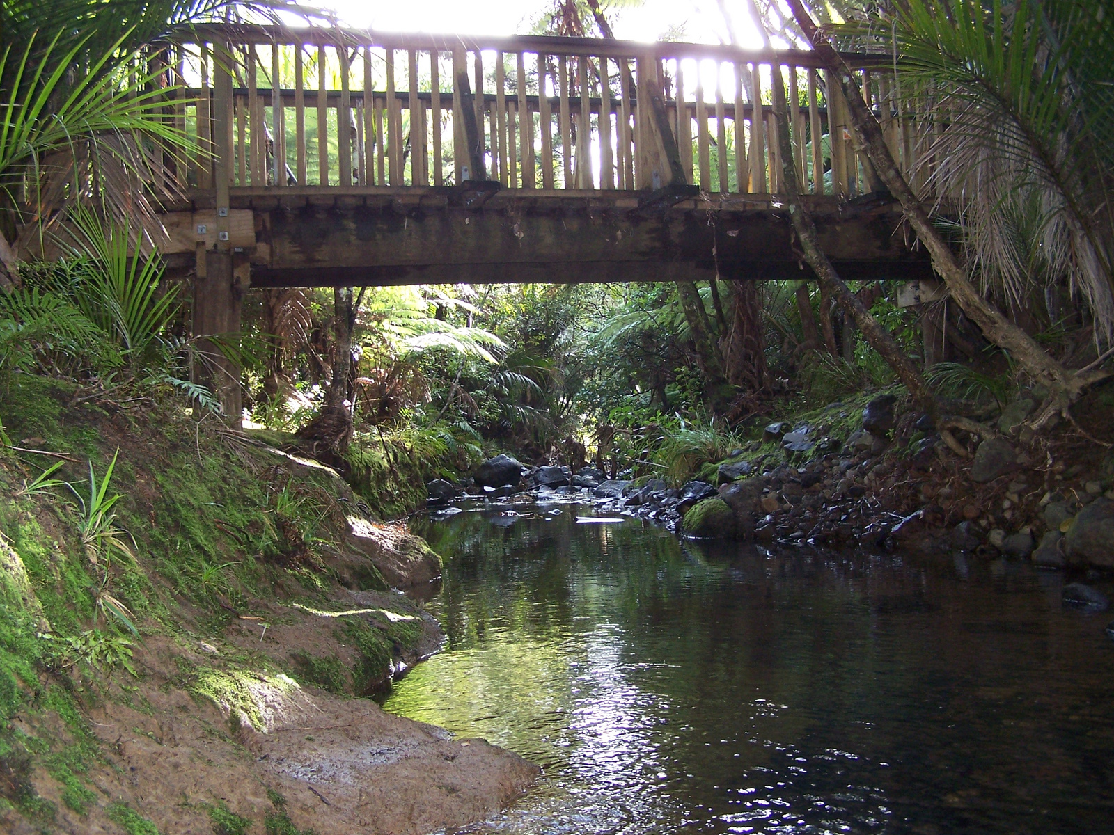 Piha 015