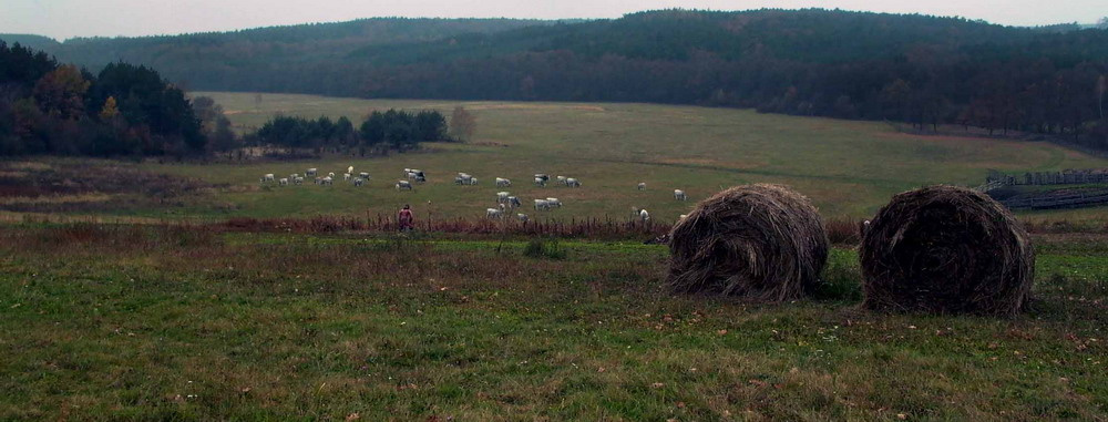 Őrségi hétköznapok