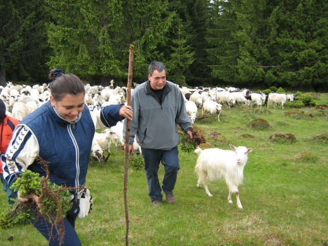 Románia Remeti Jád-völgye 2009.05 031