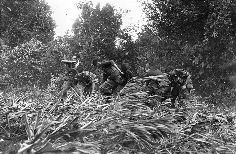 Fotós Larry Burrows, bal szélen, küzdelmek révén elefánt füvet é