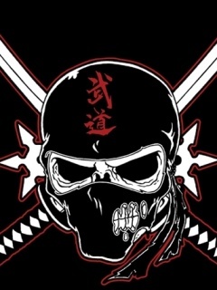 Ninja Skull