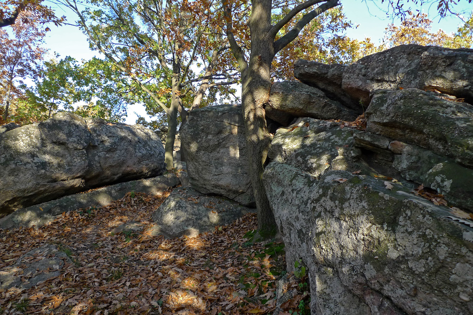 Kő és fa