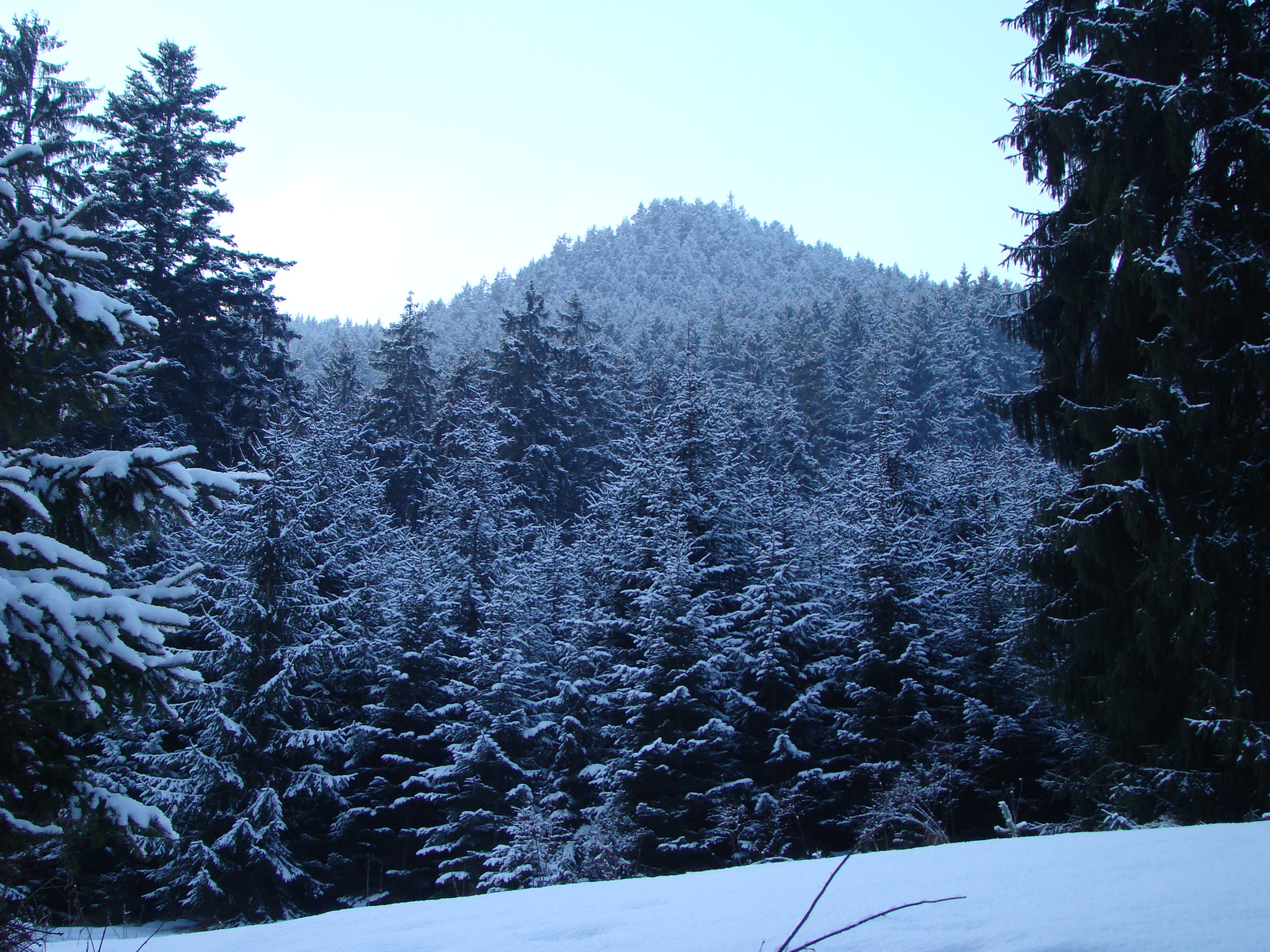 Nízke Tatry