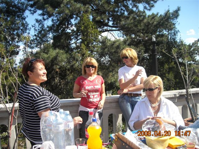 picnic 043