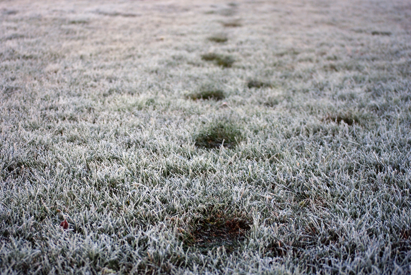 icy path