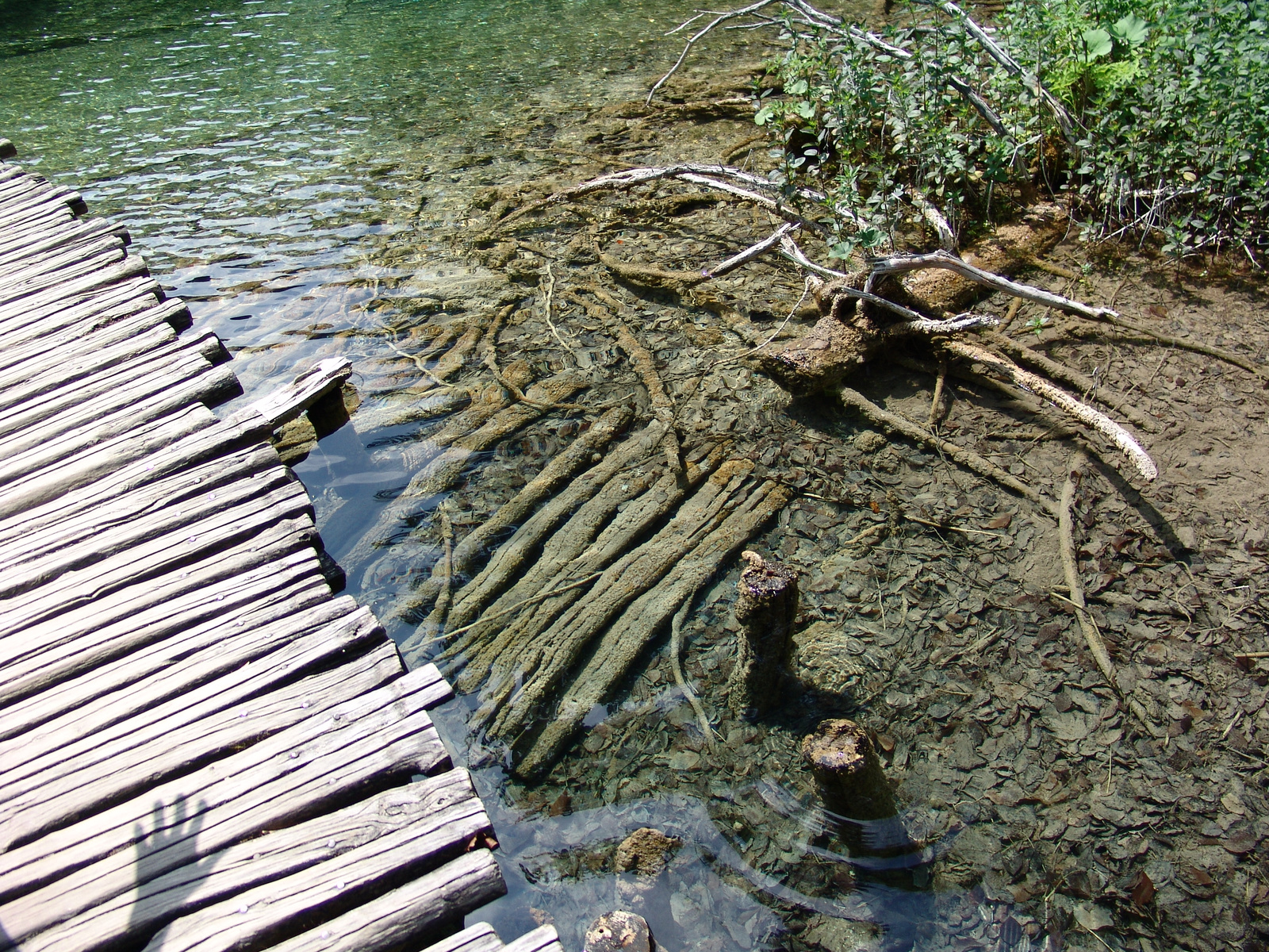 Tiszta vízű tó