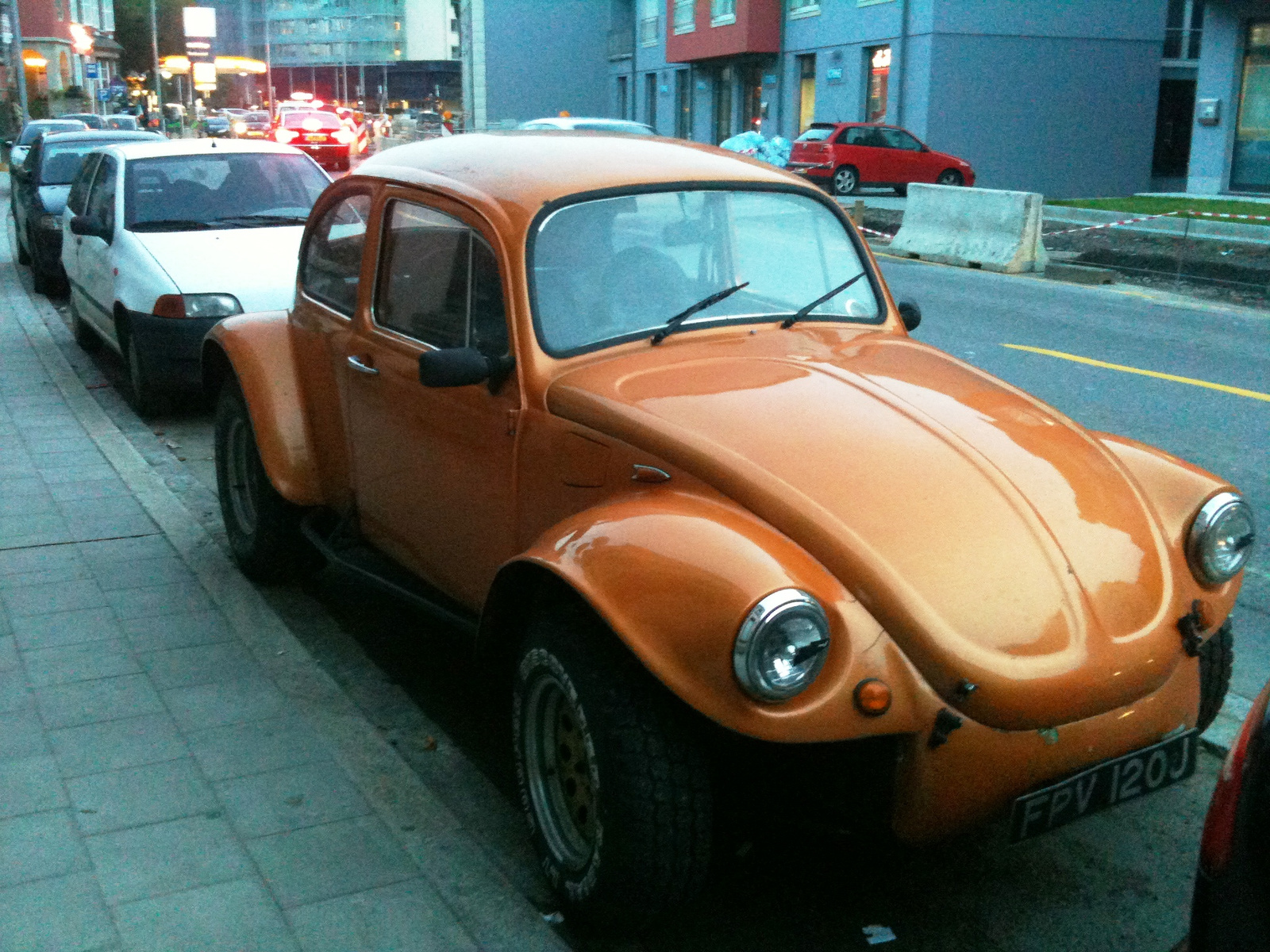 VW bogar 001