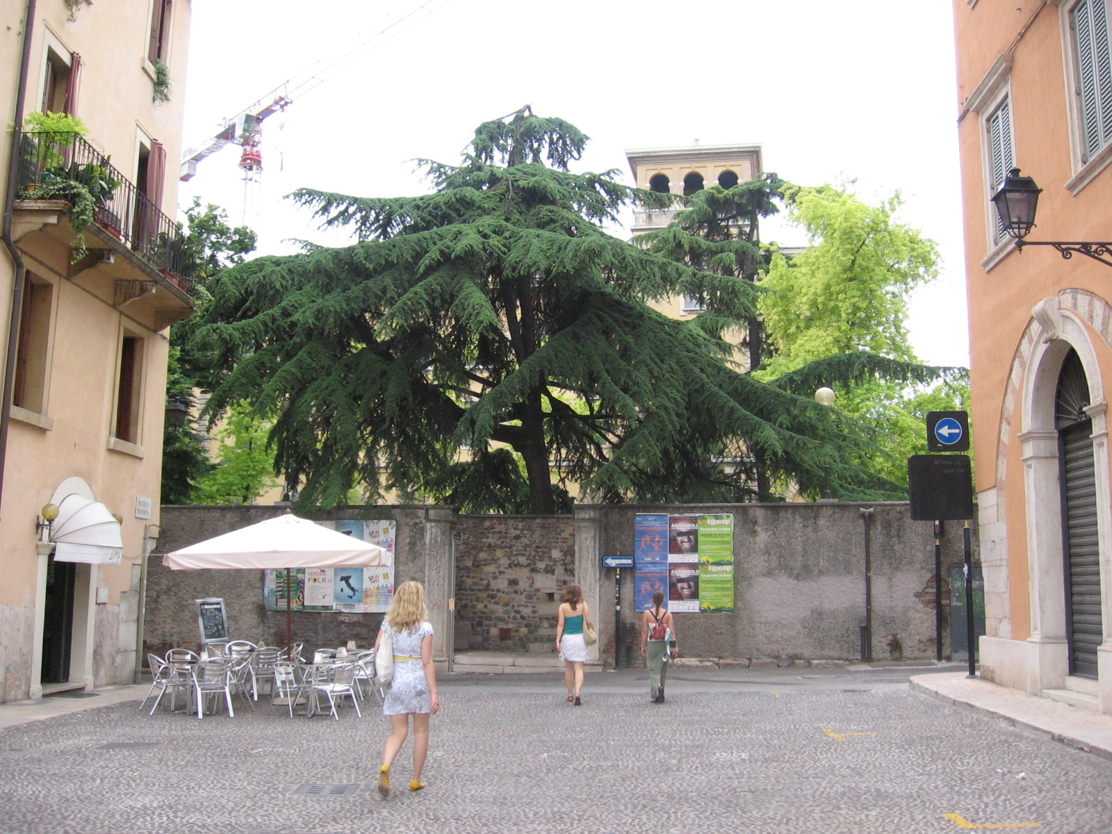 Mantova 2009 06 240