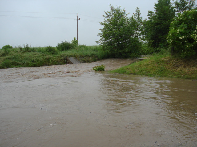 árvíz 2010.06.01. 019