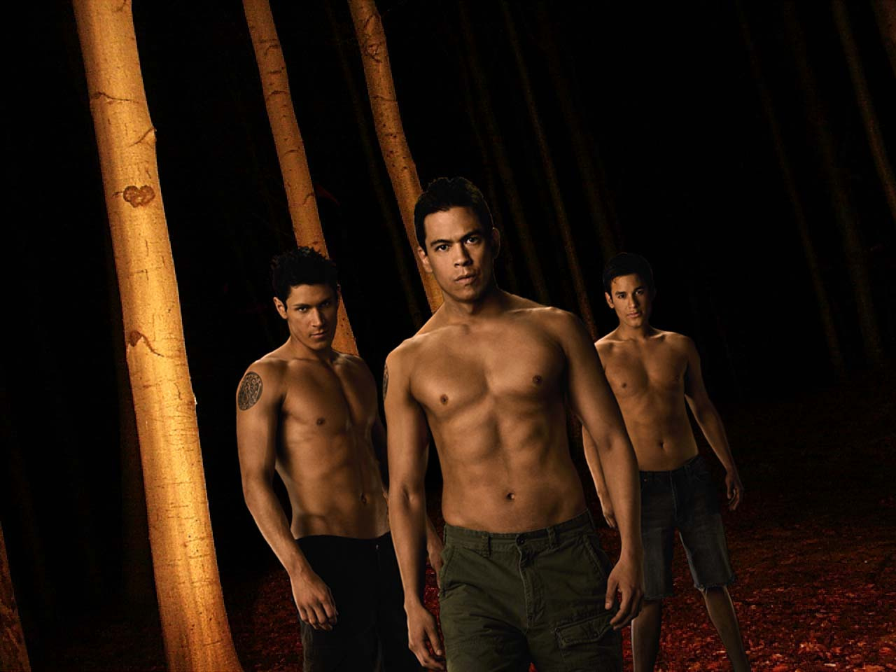 Twilight Saga wolfpack. -nem teljes : D-