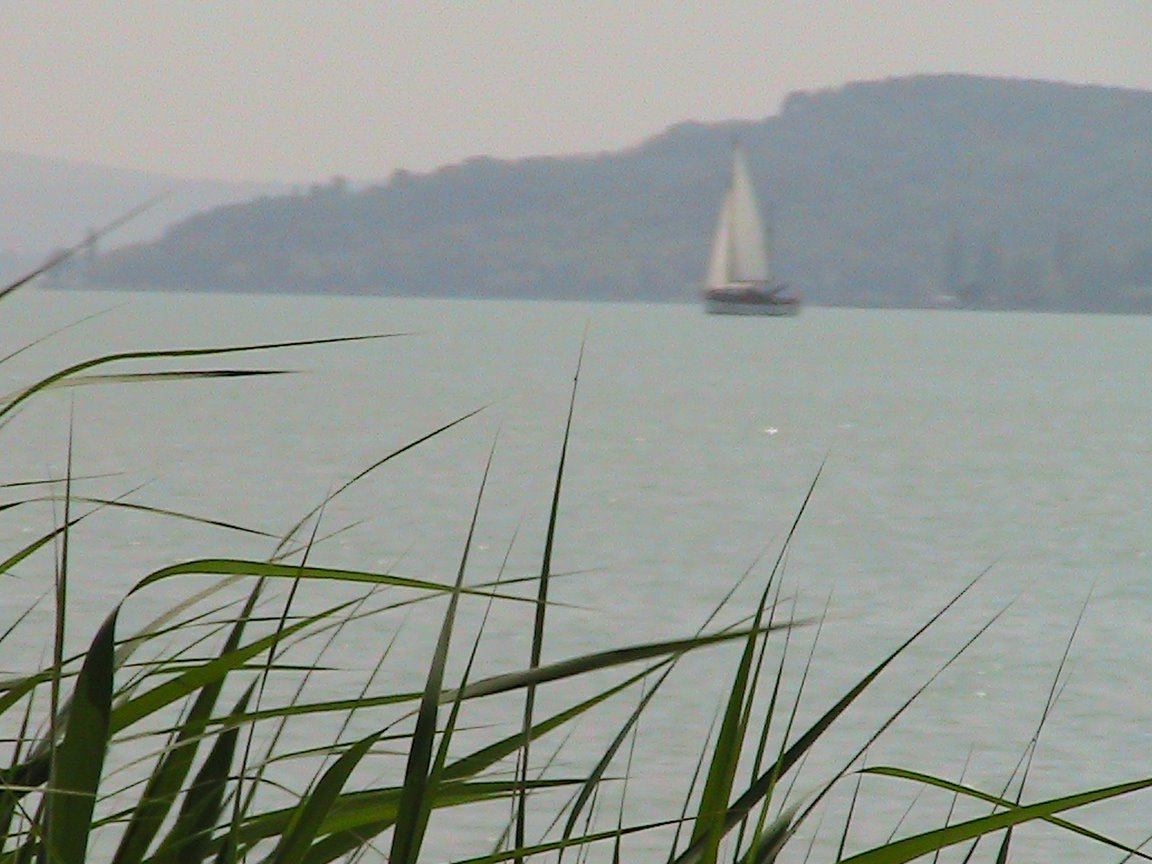 Balaton...vitorlás...reggeli pára