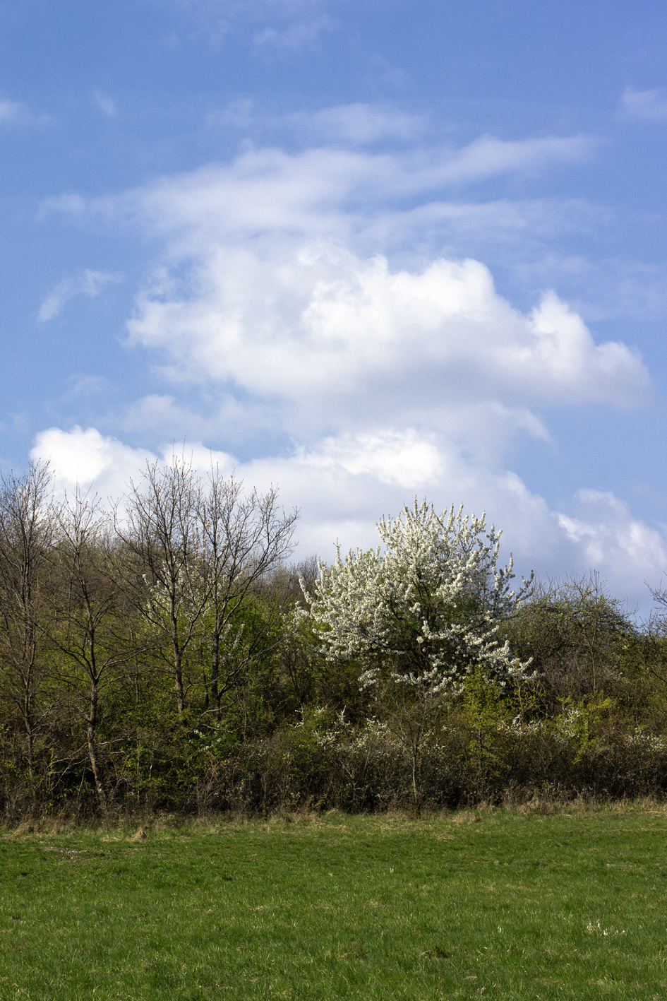 110416 NEX5 Hollókő-Nagybárkány 2388