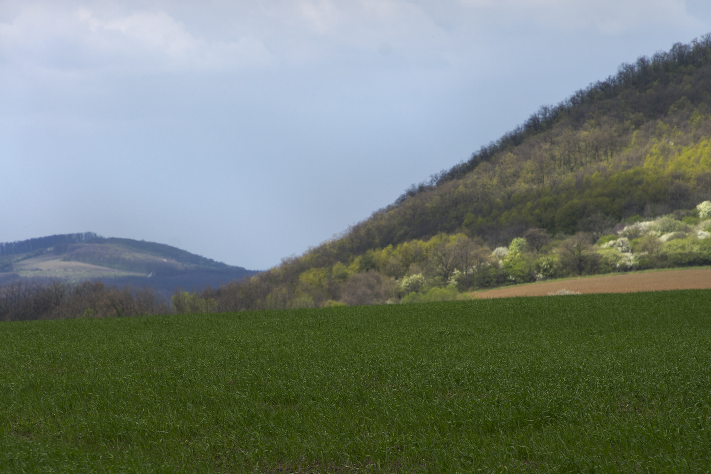 110416 NEX5 Hollókő-Nagybárkány 2429