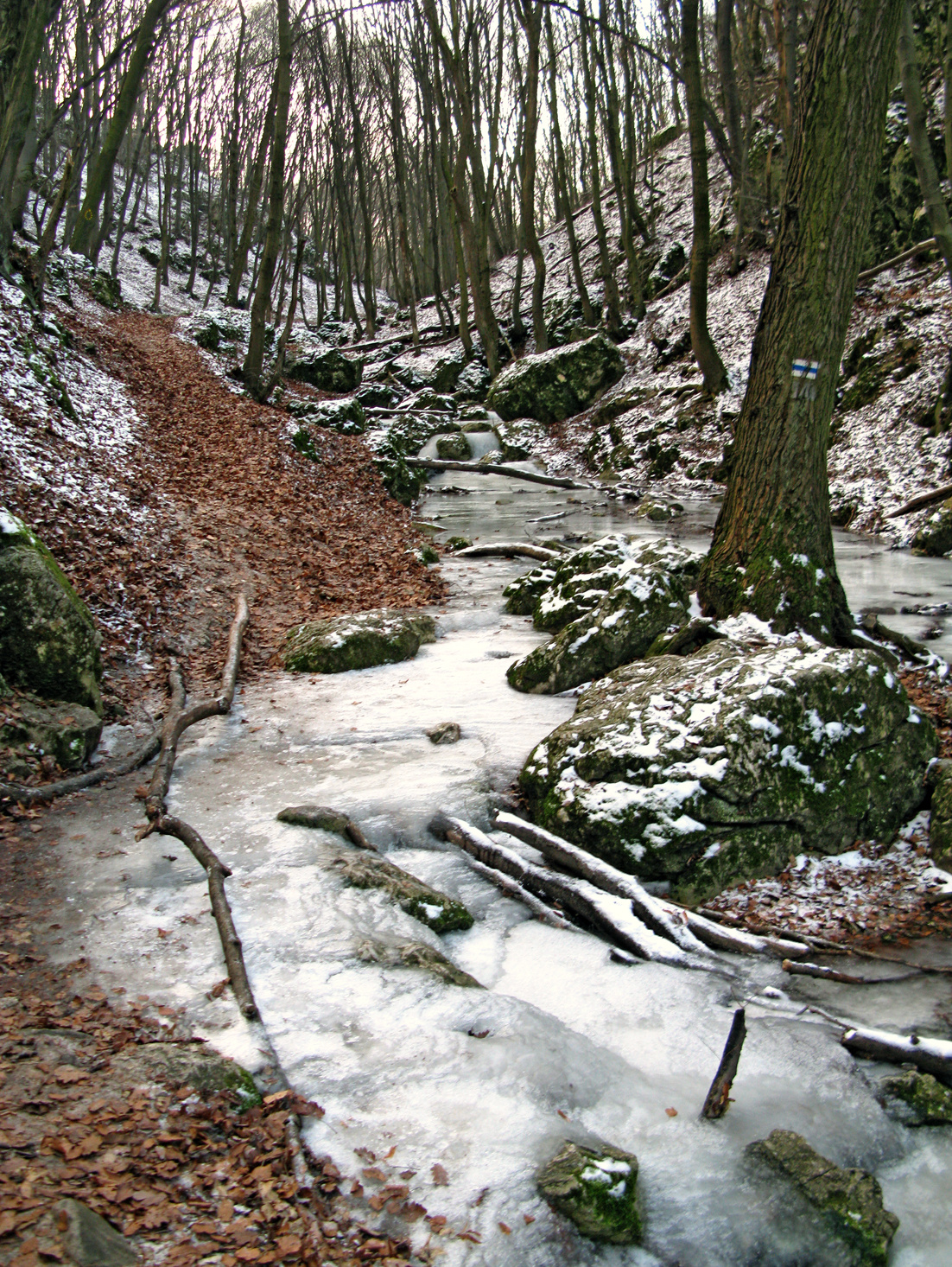 090103 G9 OKT Psztlászló-Psztkereszt 6790