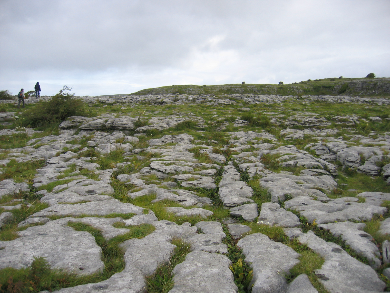 295-Burren