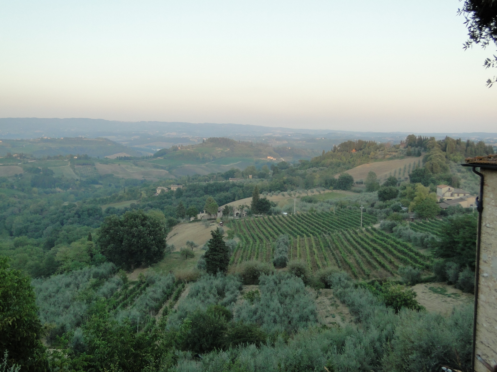 Chianti vidék