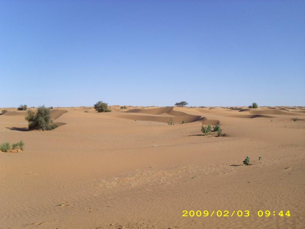 mauritania3